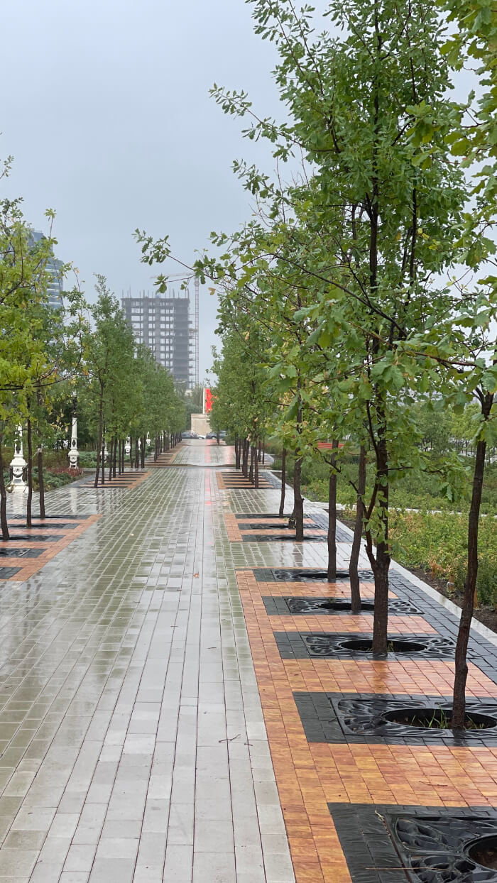 Приствольная решетка для дерева ZKING CRUST 1.2х1.2м Черная в Дербенте фото